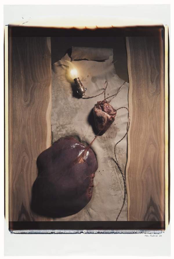 No. 5: Heart of Liver