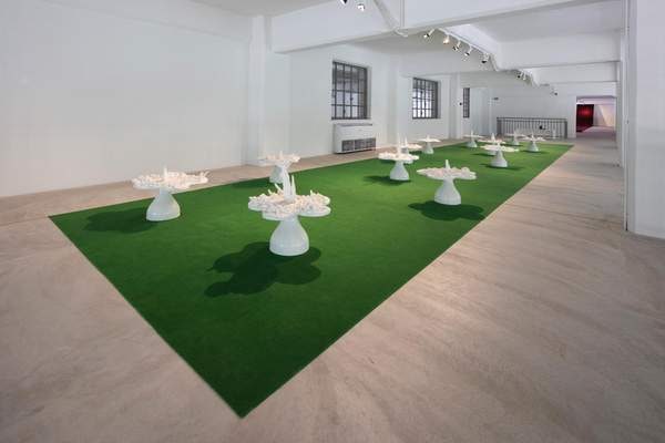 Piss Flowers