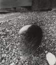 Nude, East Sussex Coast