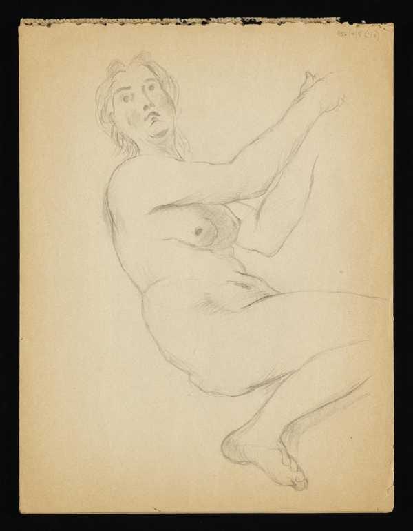 ‘Sketchbook 5