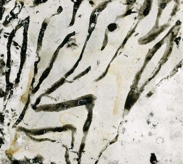 ‘Glass slide painted in a zebra pattern and splattered with brown paint