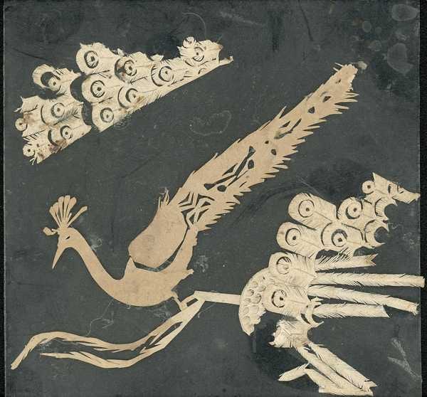 ‘Slide on which a paper cut out of a peacock and peacock feathers have been glued