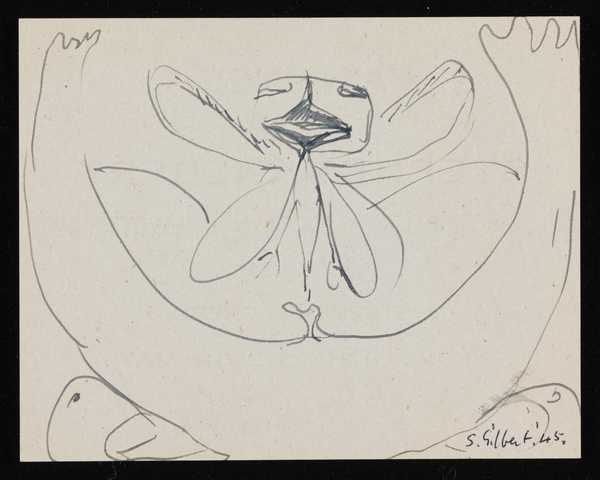 ‘Drawing of a winged insect