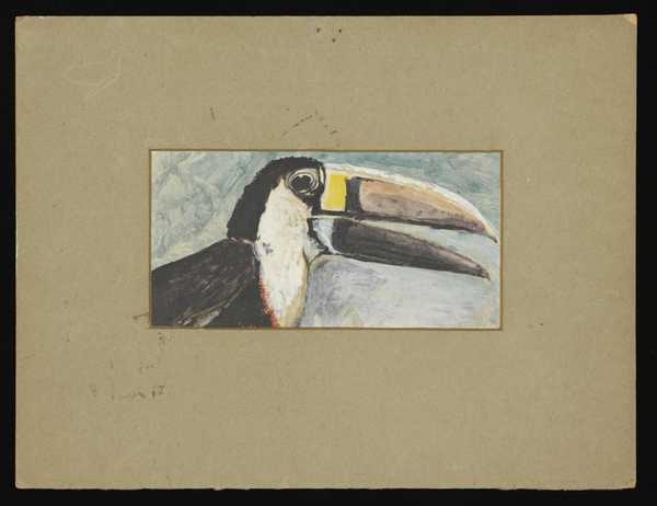 ‘Painting of a toucan