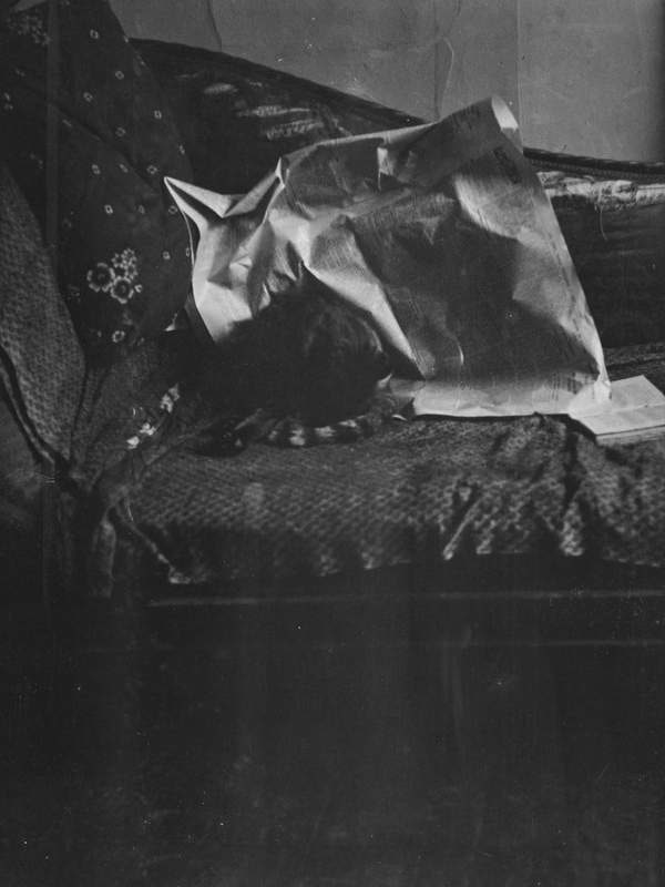 ‘Black and white negative of Ming the cat on a sofa under a newspaper, indoors at Charleston, Firle, Sussex