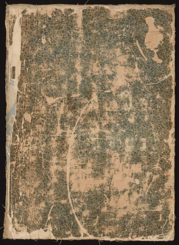 ‘Alison Smithson’s scrapbook