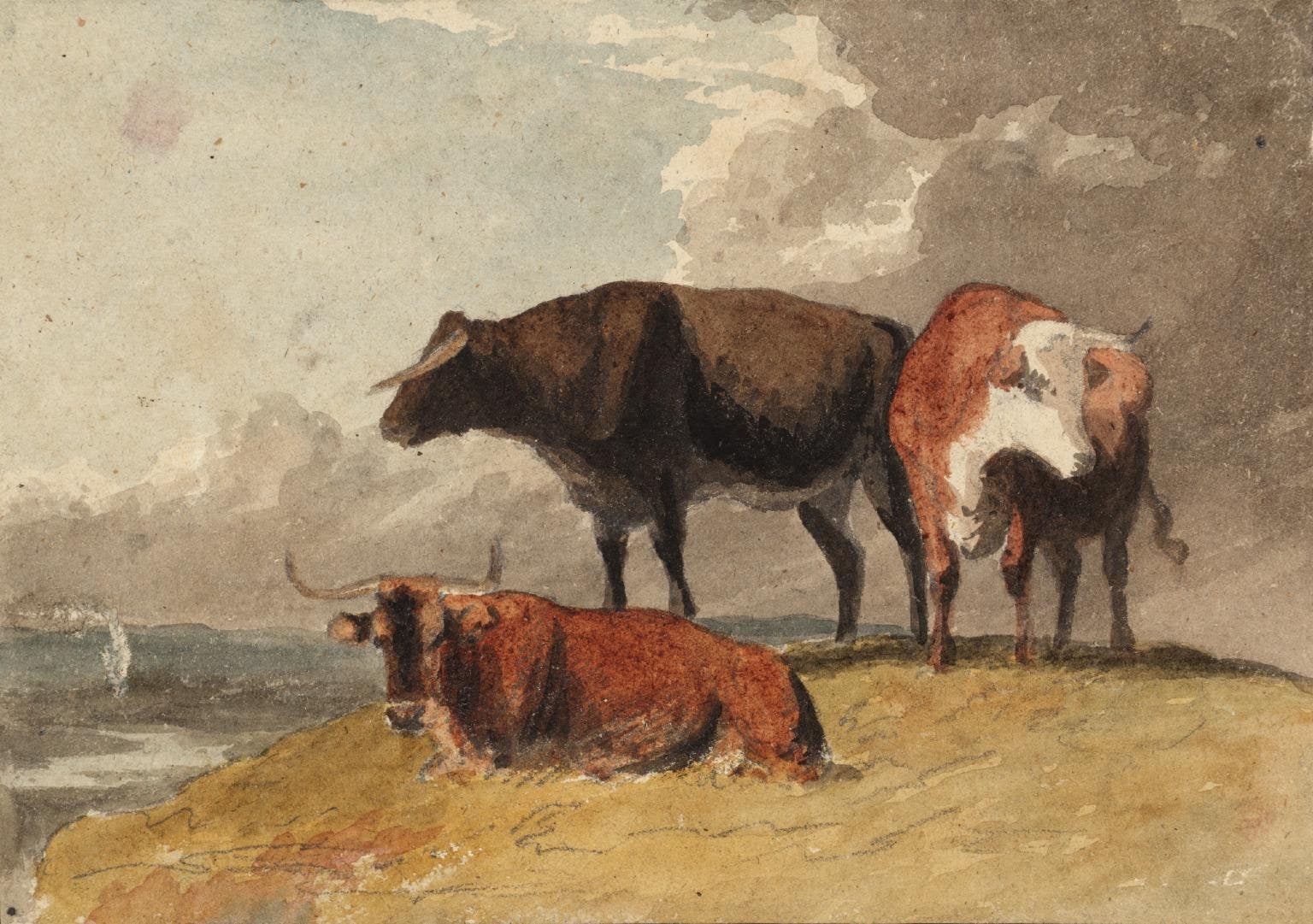 Cows in a Landscape