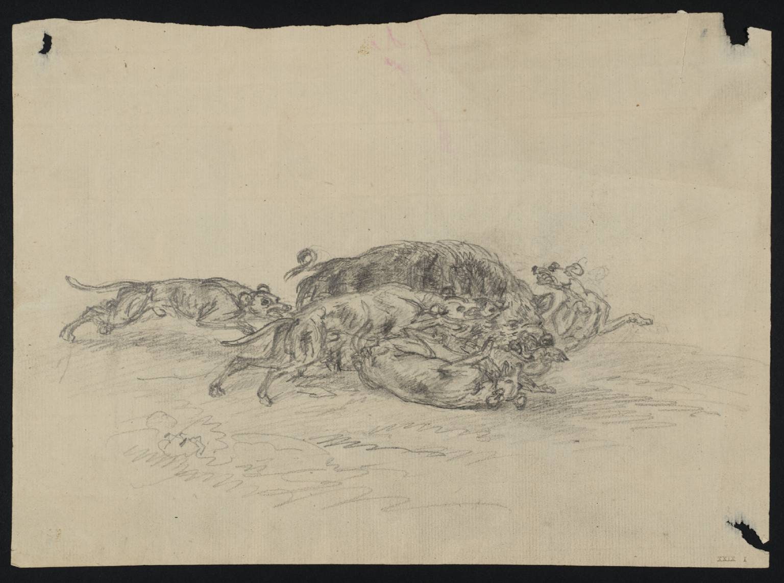 A Wild Boar Attacked by Hounds