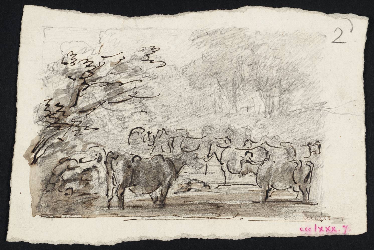 Composition Study of Cows in a Stream with Wooded Banks