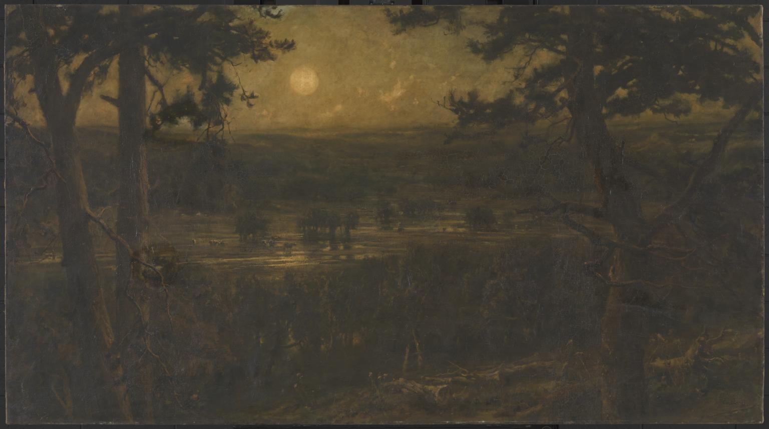 The August Moon