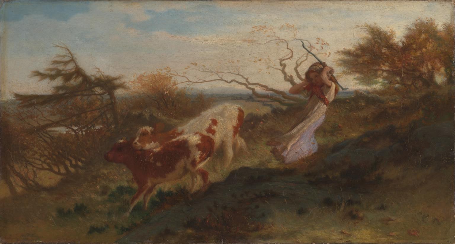 Wind on the Wold
