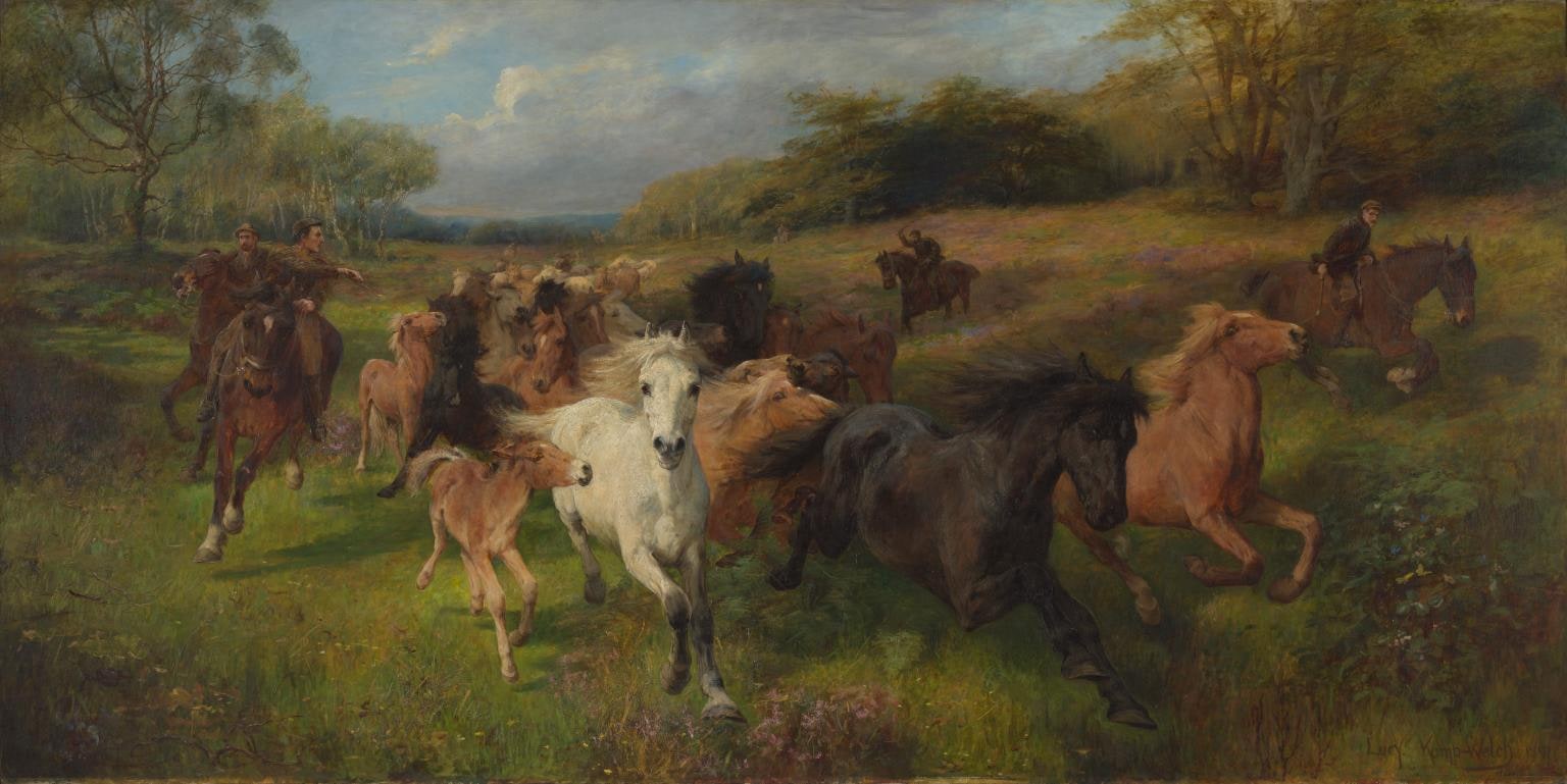 Colt Hunting in the New Forest