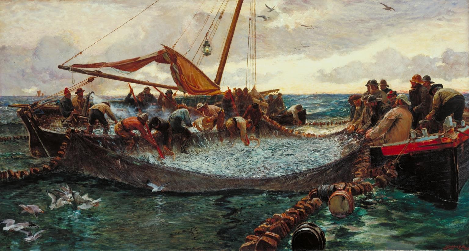 Pilchards