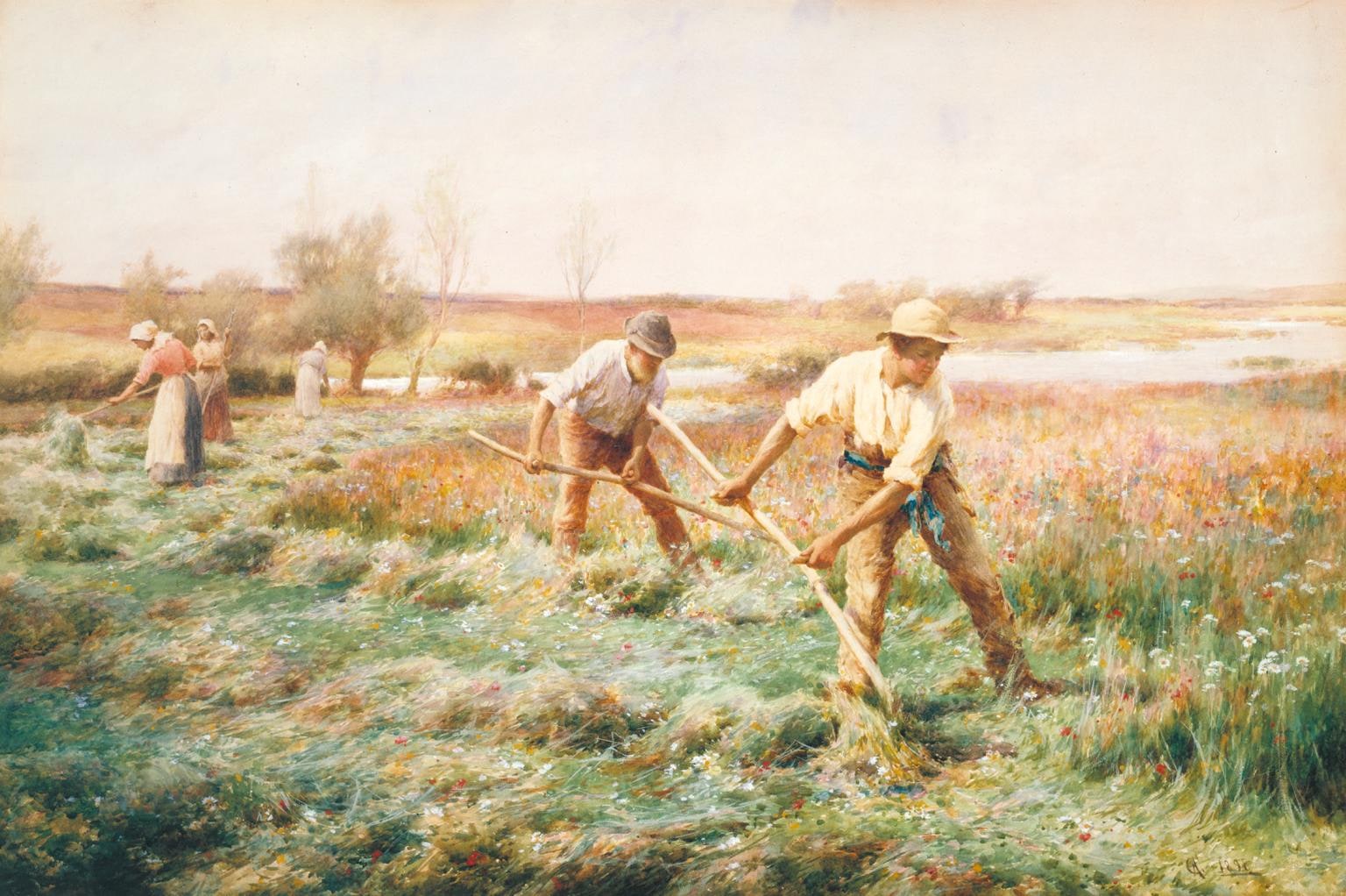 Haymaking