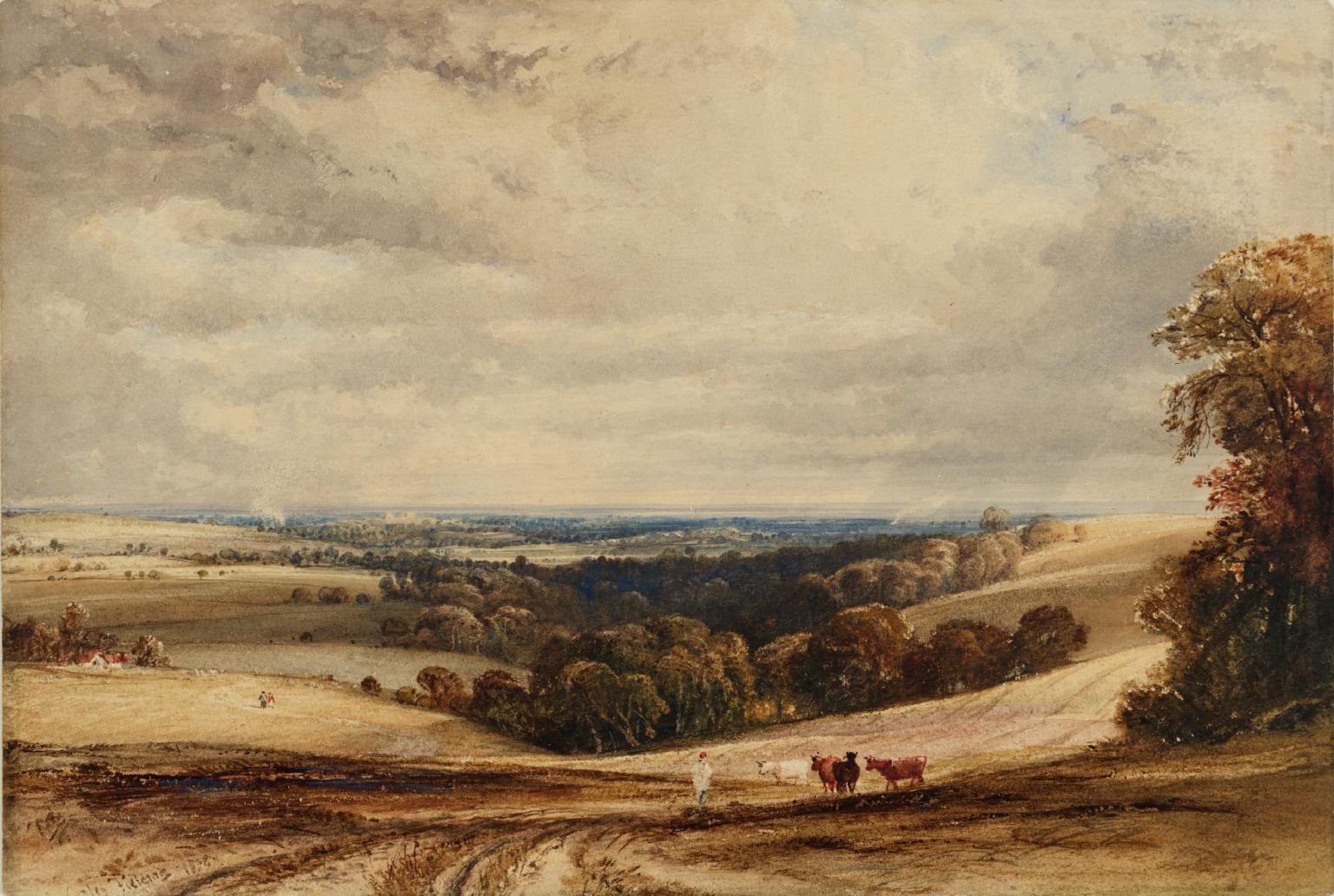 A View in Sussex
