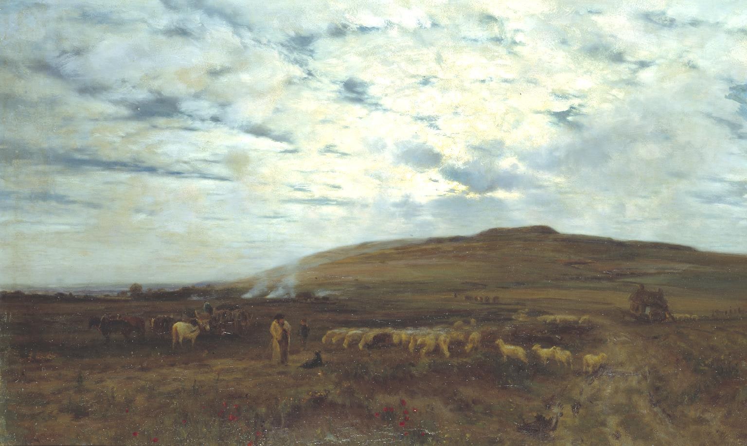 Approaching Night