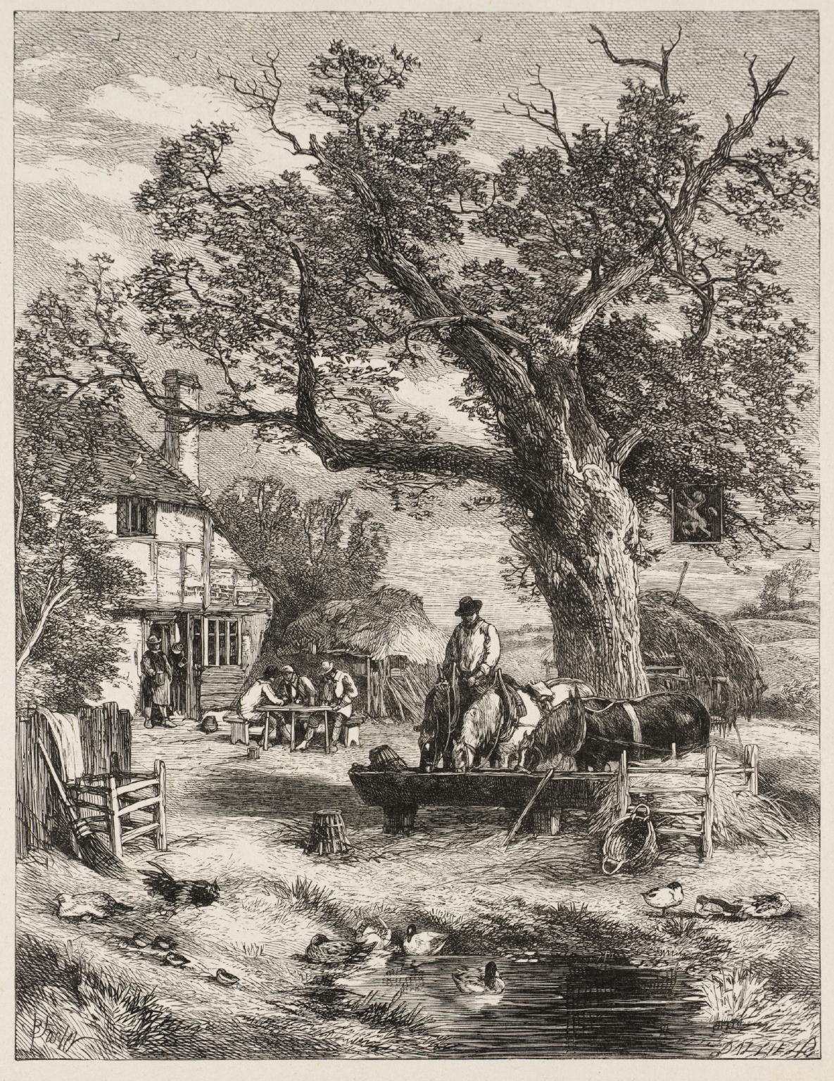 The Country Inn