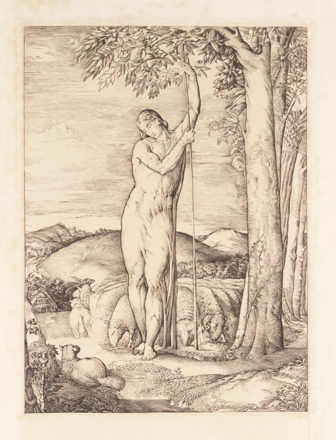 The Shepherd