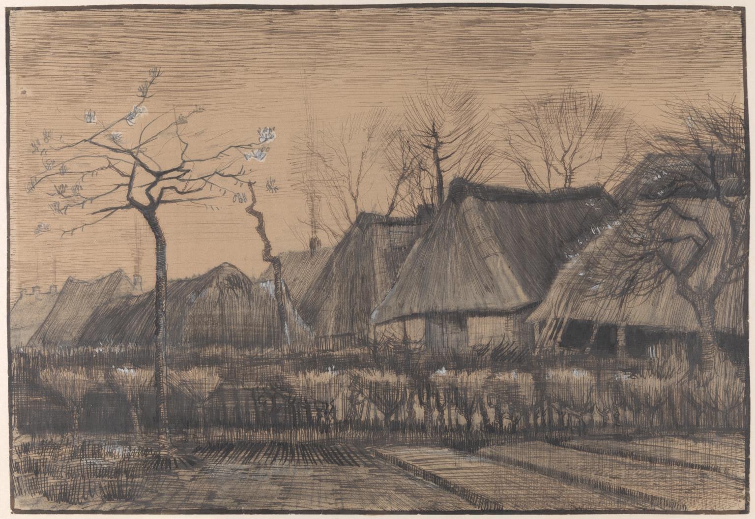 Thatched Roofs