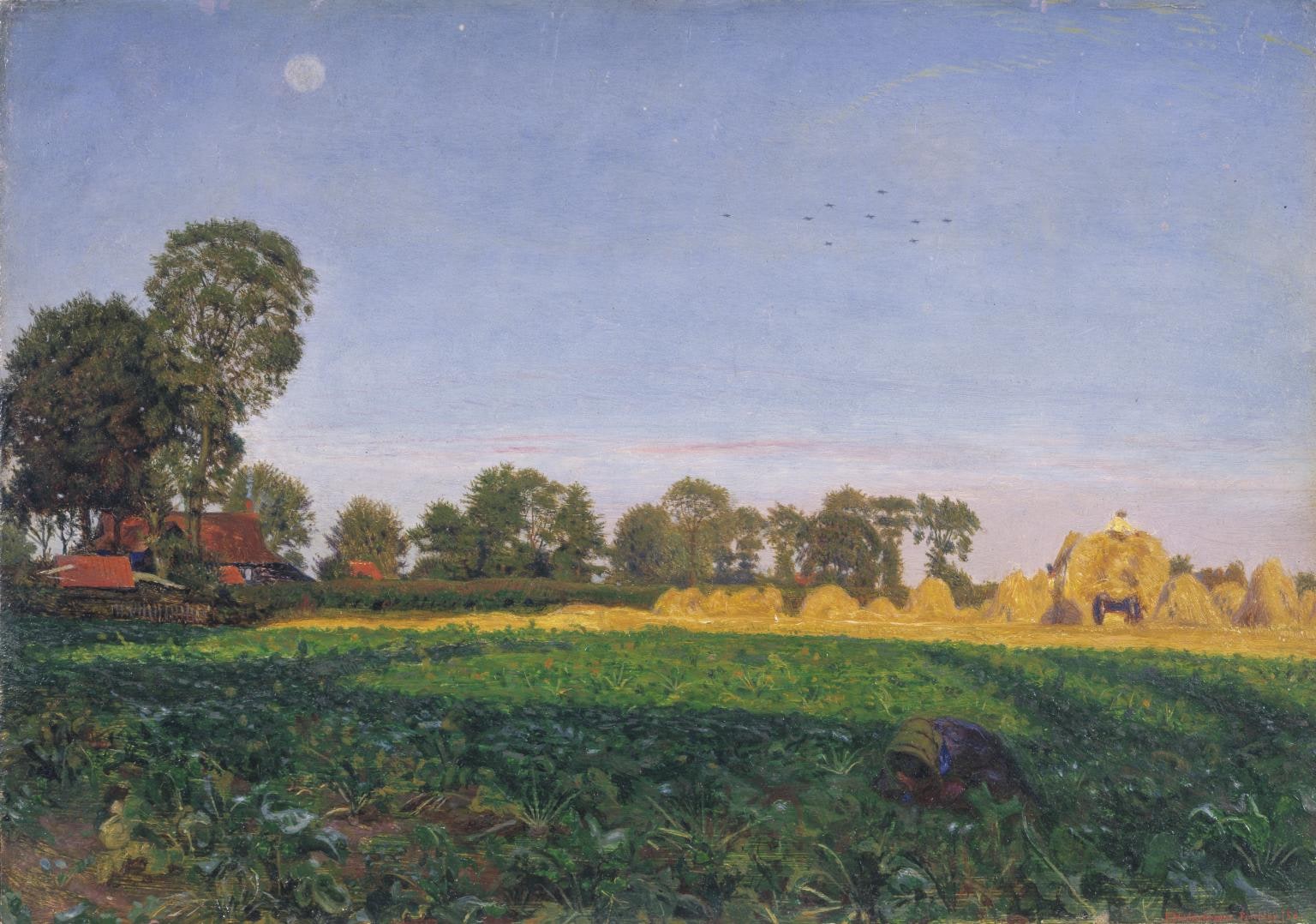Carrying Corn