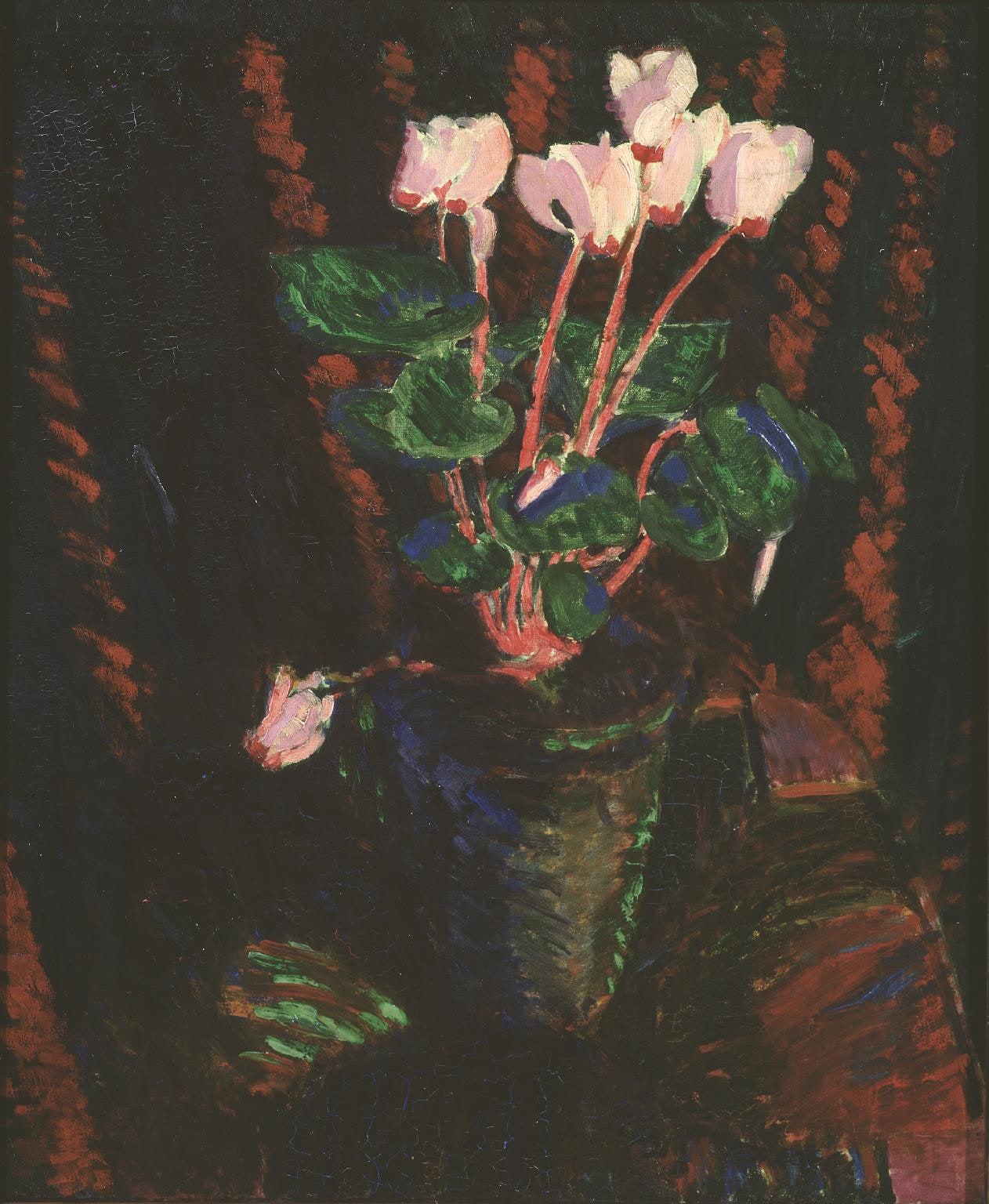 Cyclamen