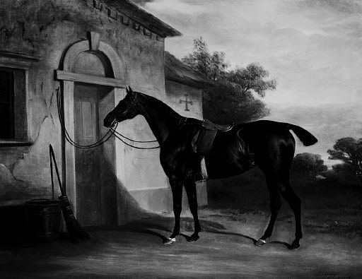 The Bay Horse