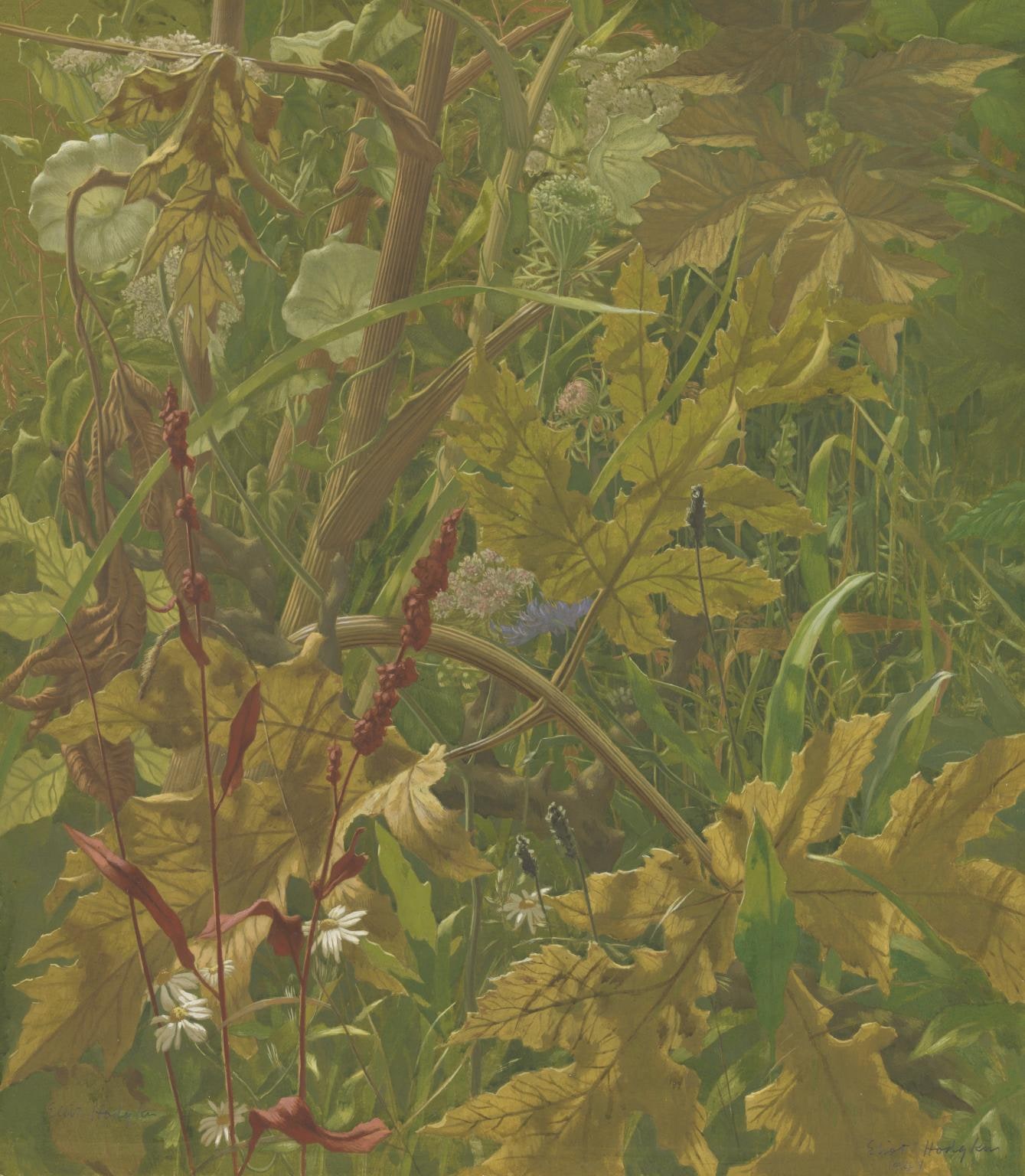 Undergrowth