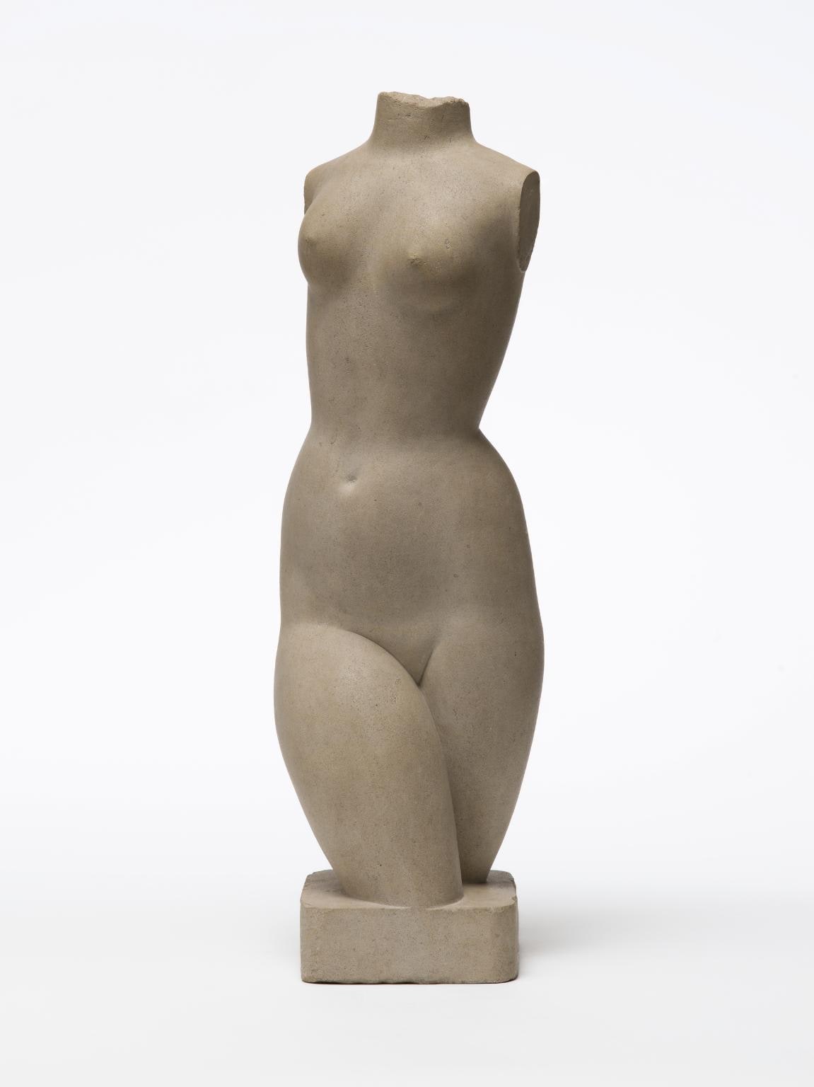 Torso