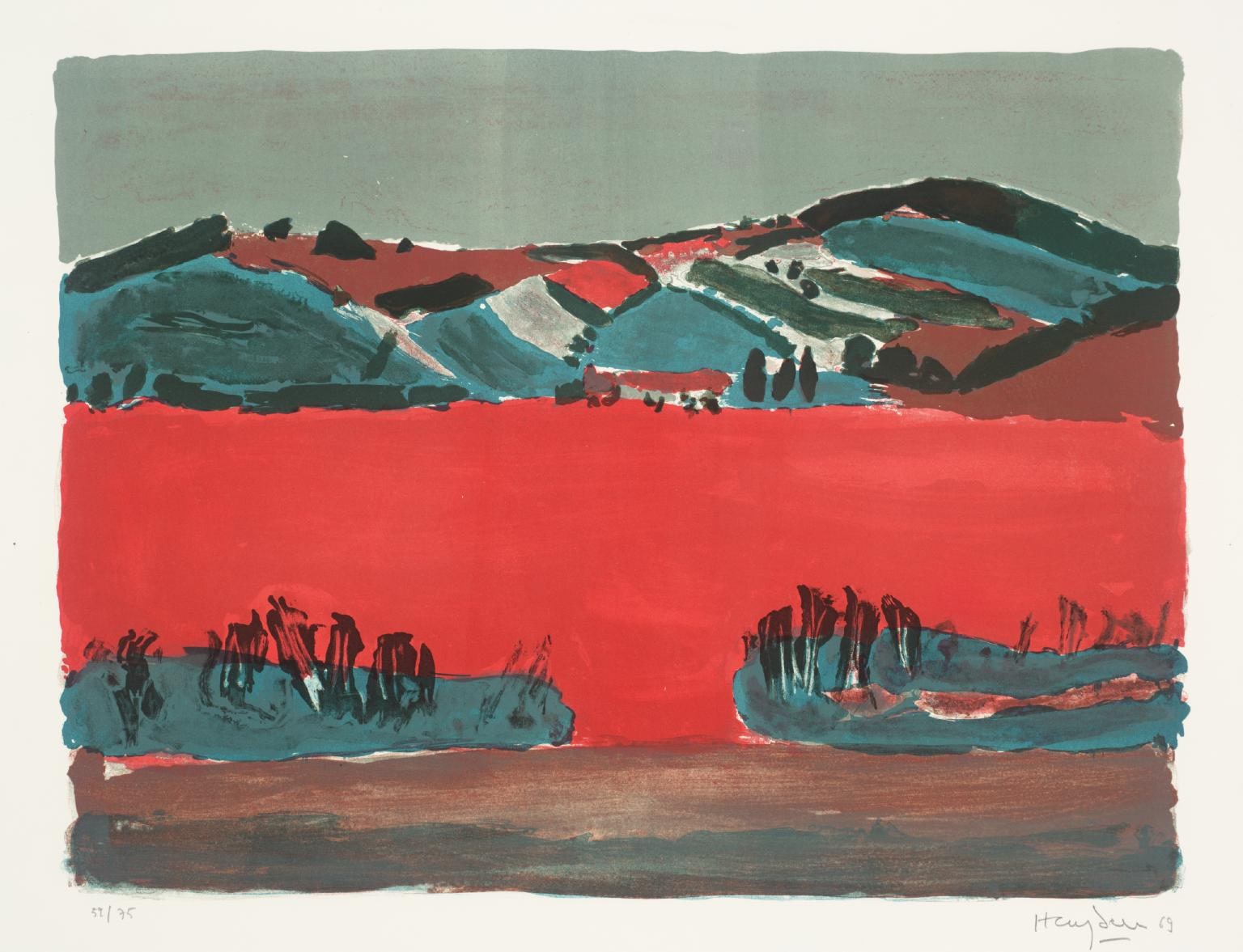 Hayden Landscape