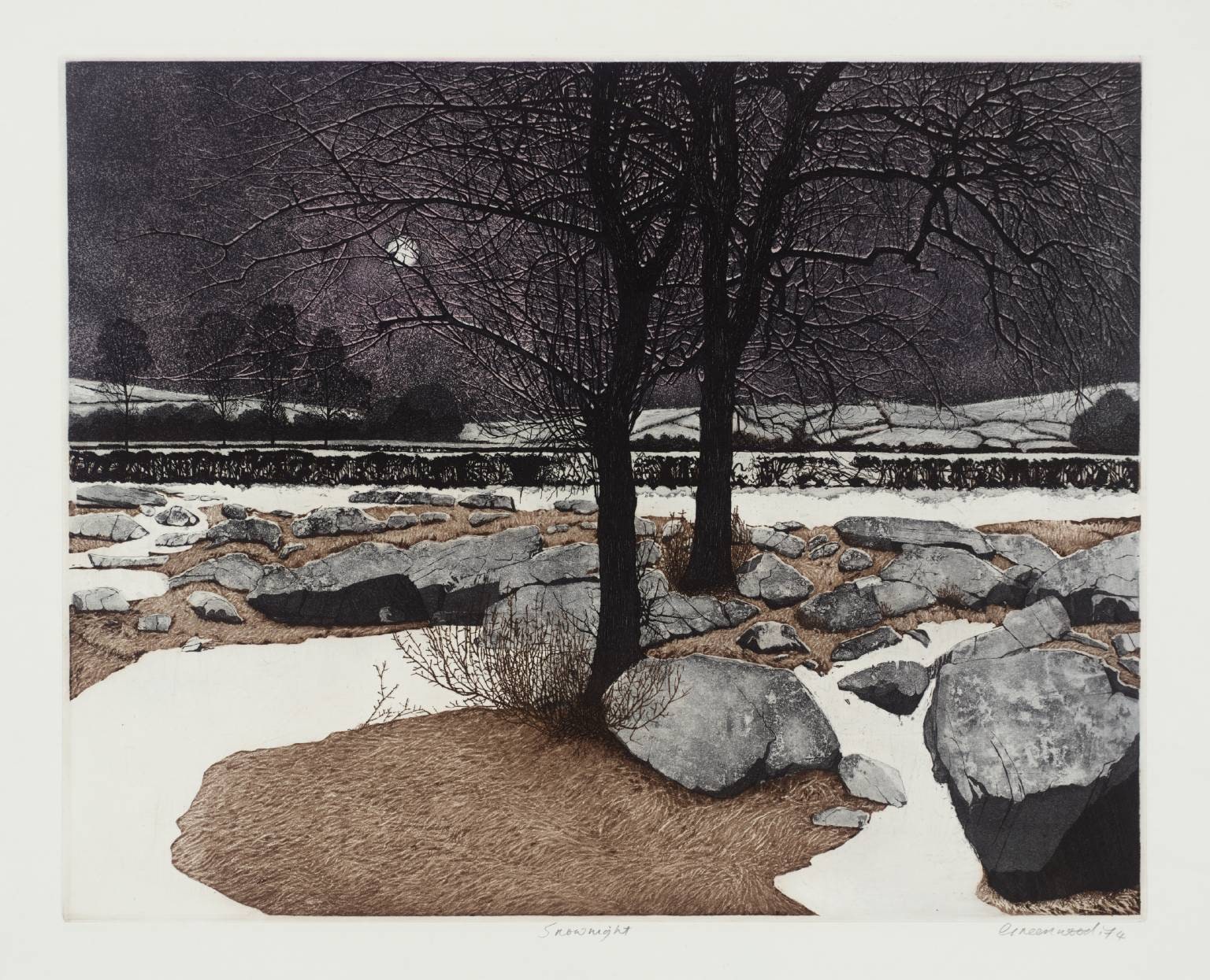 Snow Night