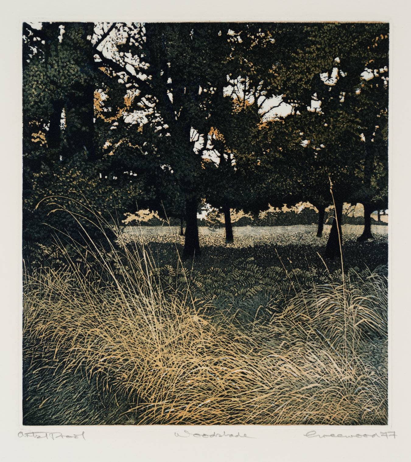 Woodshade