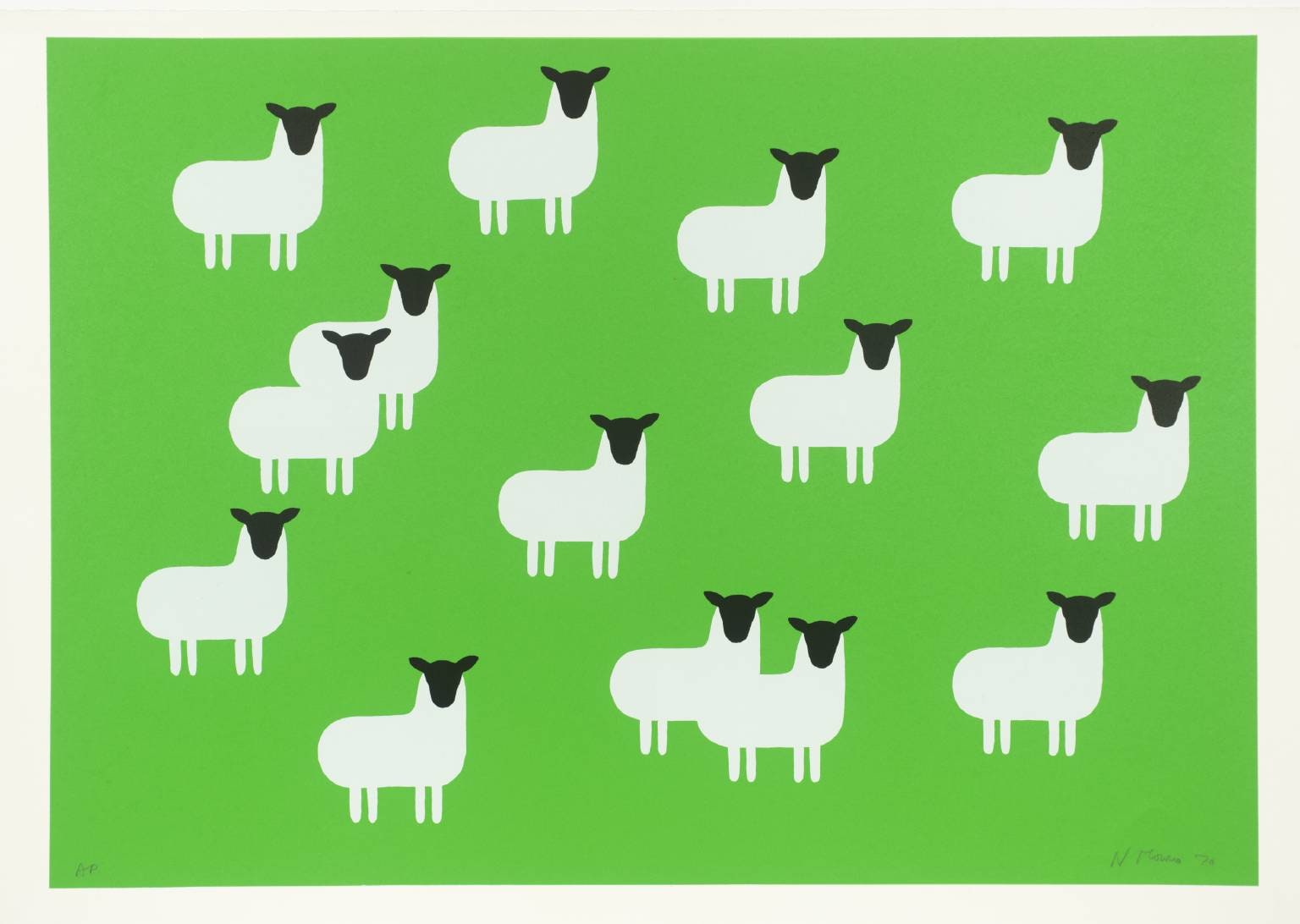Sheep