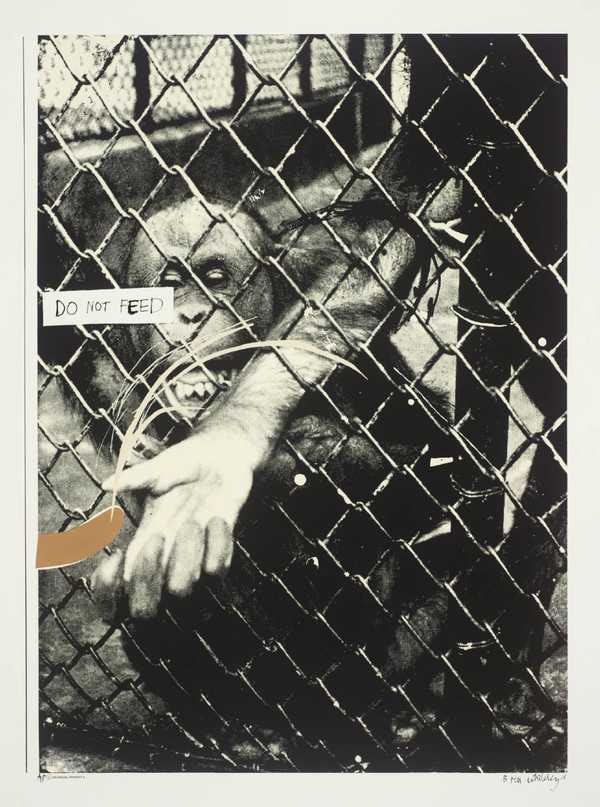 2. Swinging Monkey