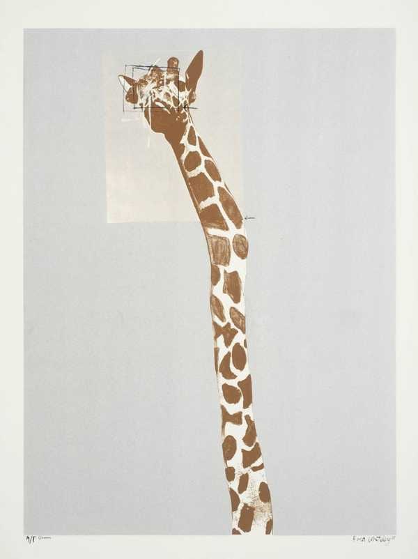 5. Giraffe