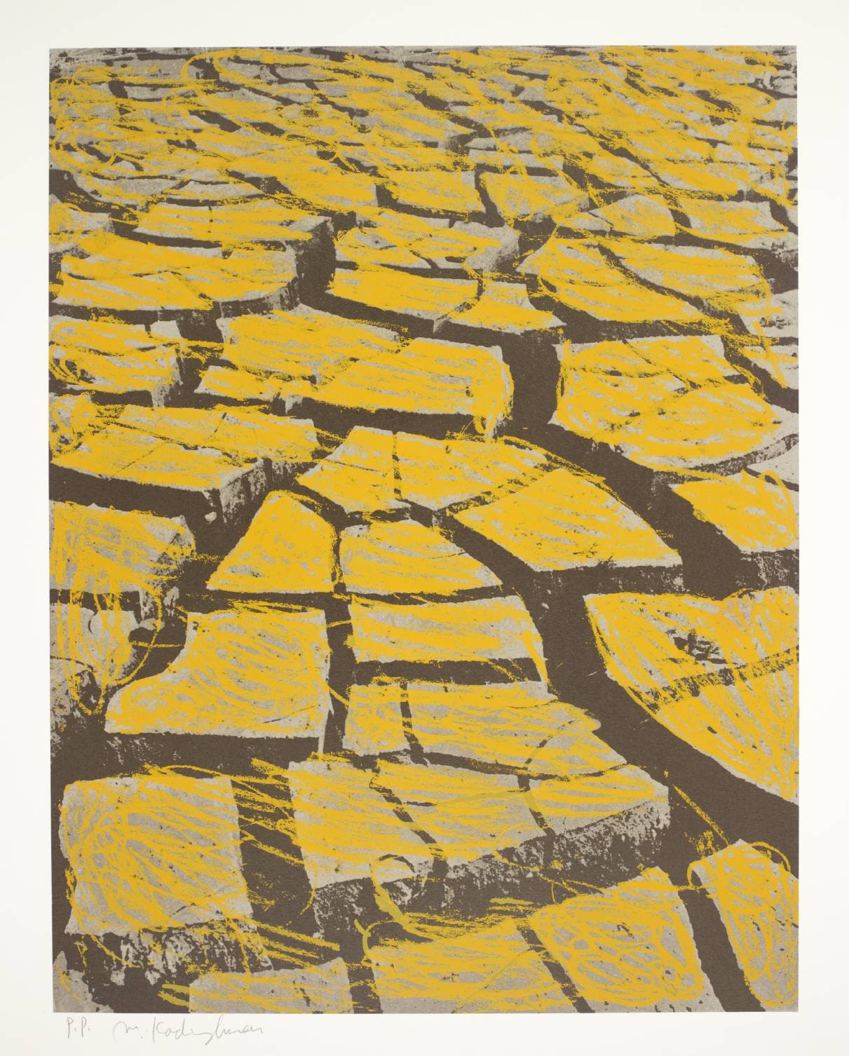Cracked Earth A