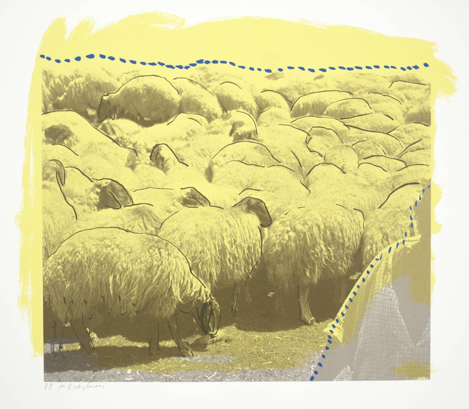 Sheep A