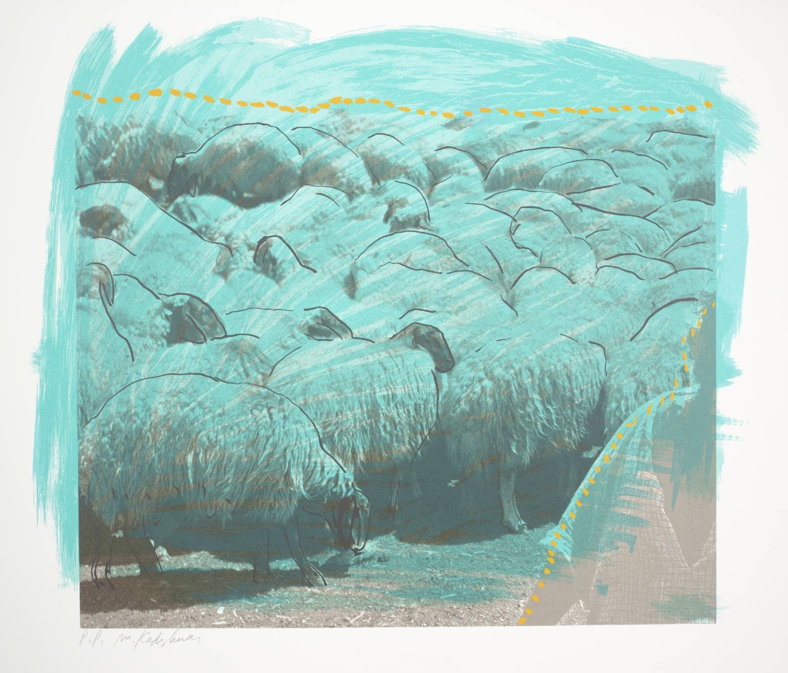 Sheep B