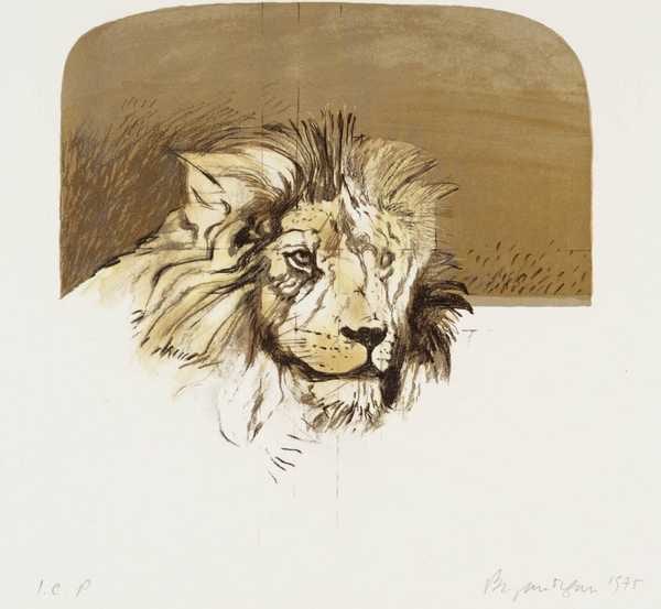 2. Lion