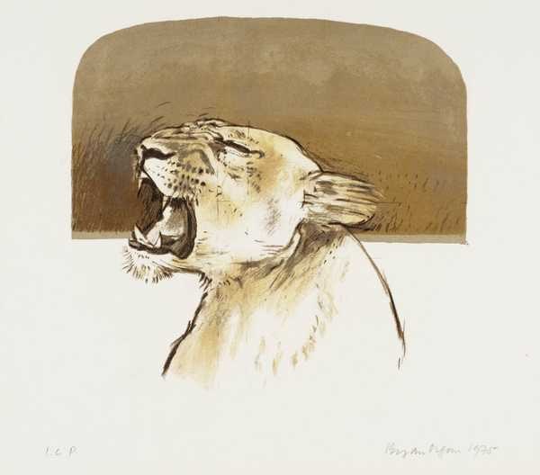 3. Lioness
