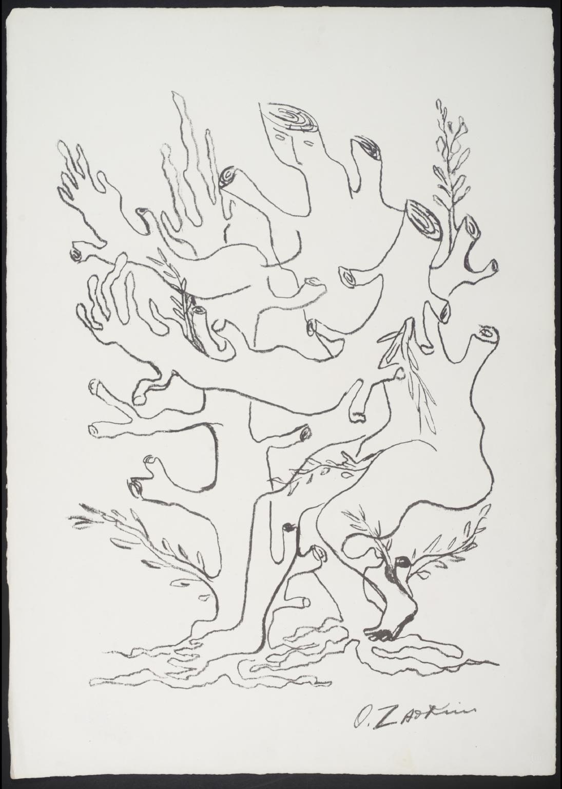 Daphne - Treeform