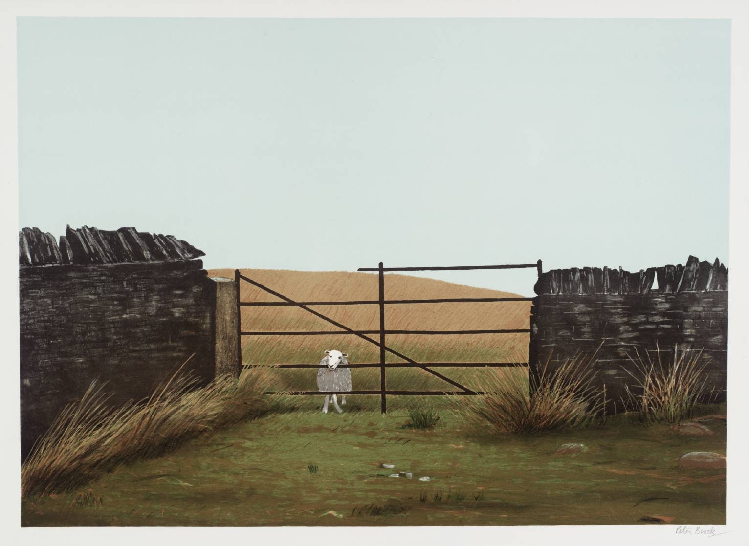 SEPTEMBER Cornfield - Sheep on the Wrong Side of the Gate