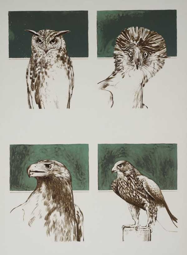 Four Birds