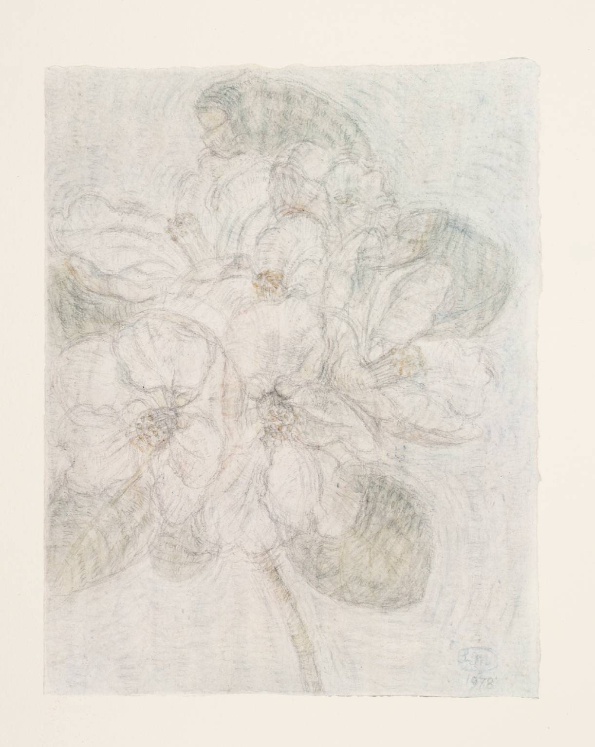 Apple Blossom I