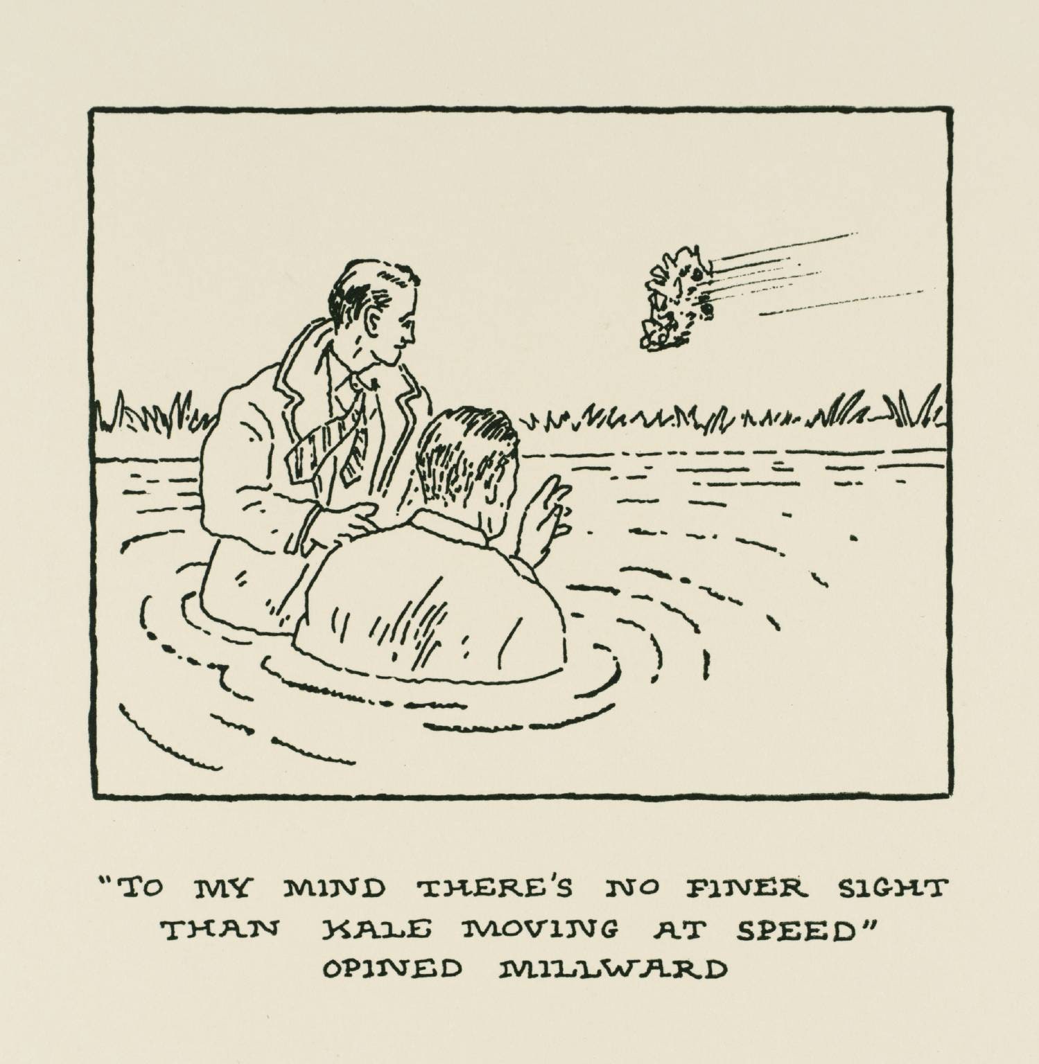 ‘To my mind there’s no finer sight than kale moving at speed’ Opined Millward