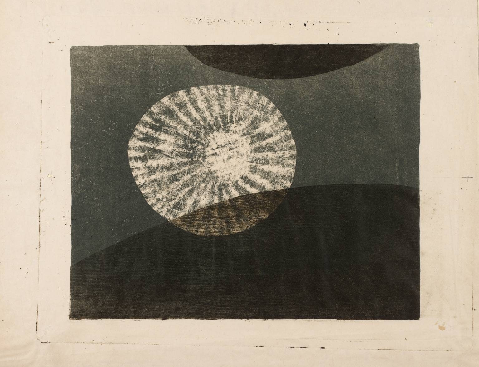 Jelly Fish