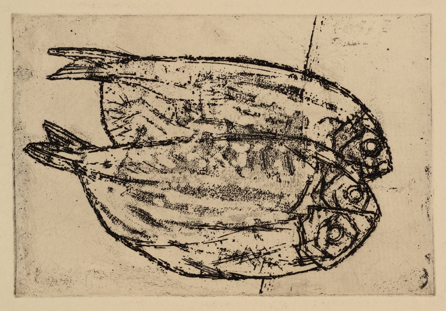 Kippers