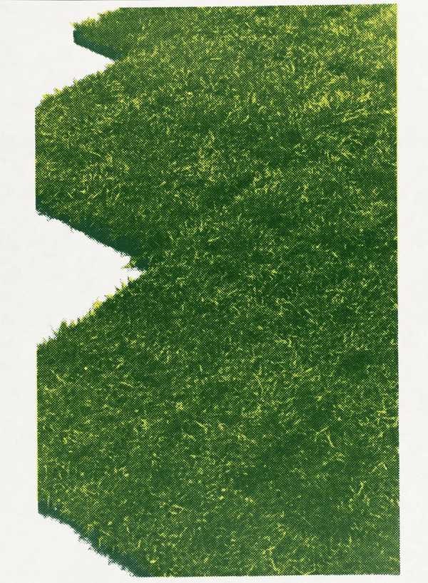 Grass Corner