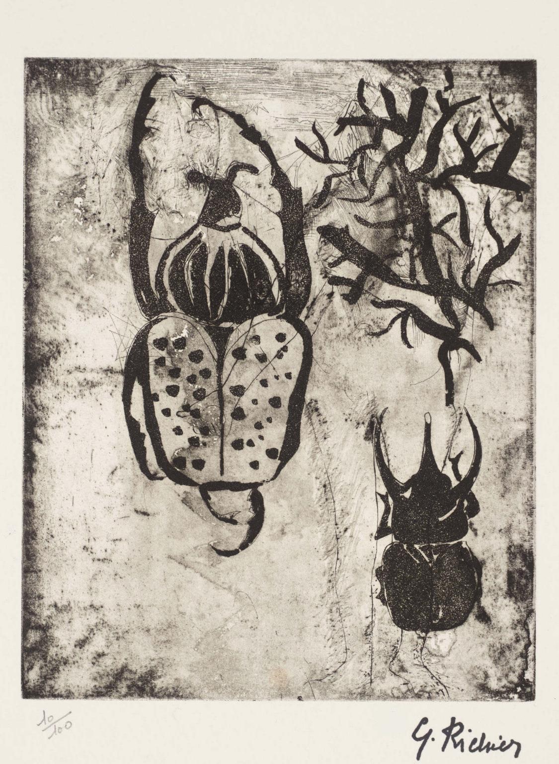 Beetles