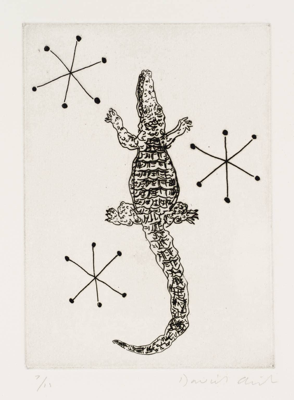 Crocodile