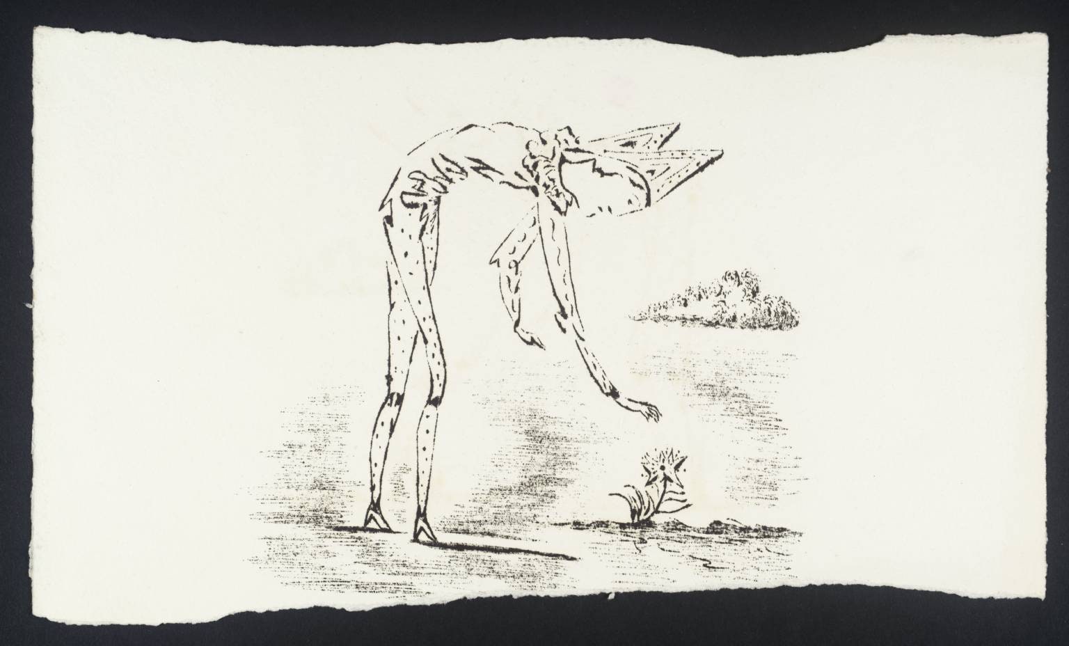 Fool with a Flower